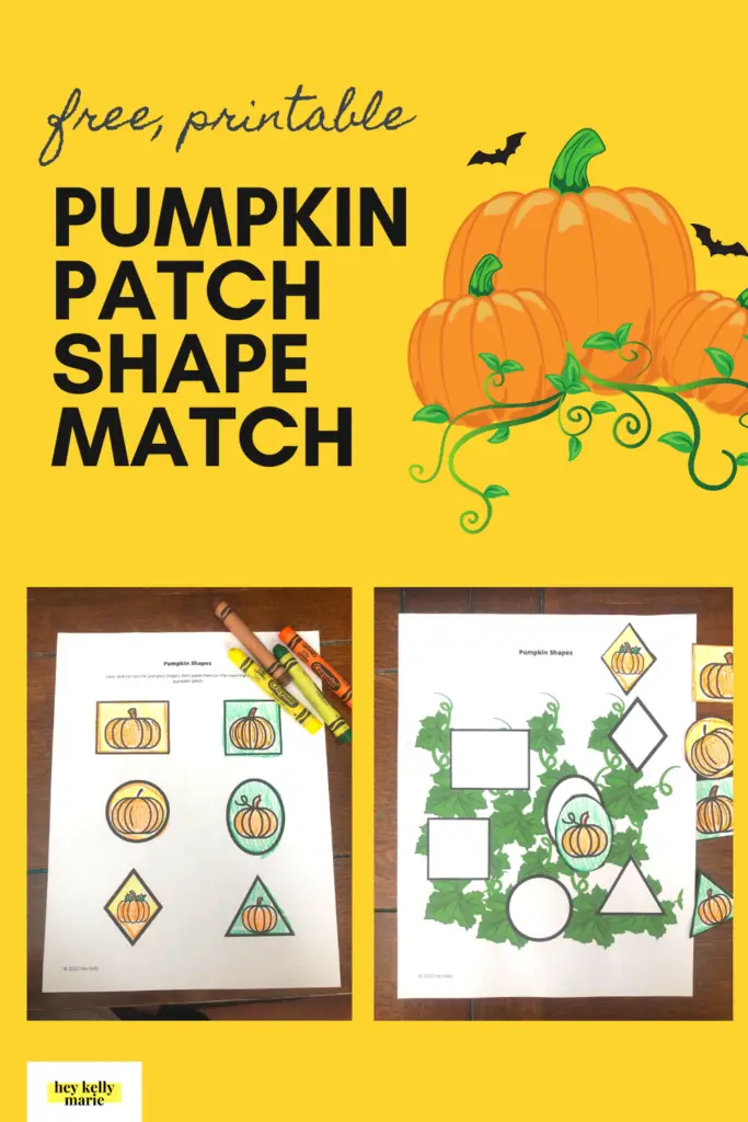 pin of pumpkin patch shape match