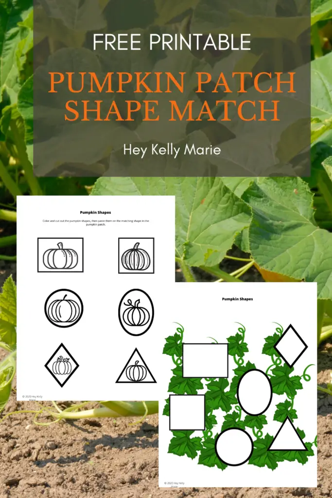 pin describing pumpkin patch shape match