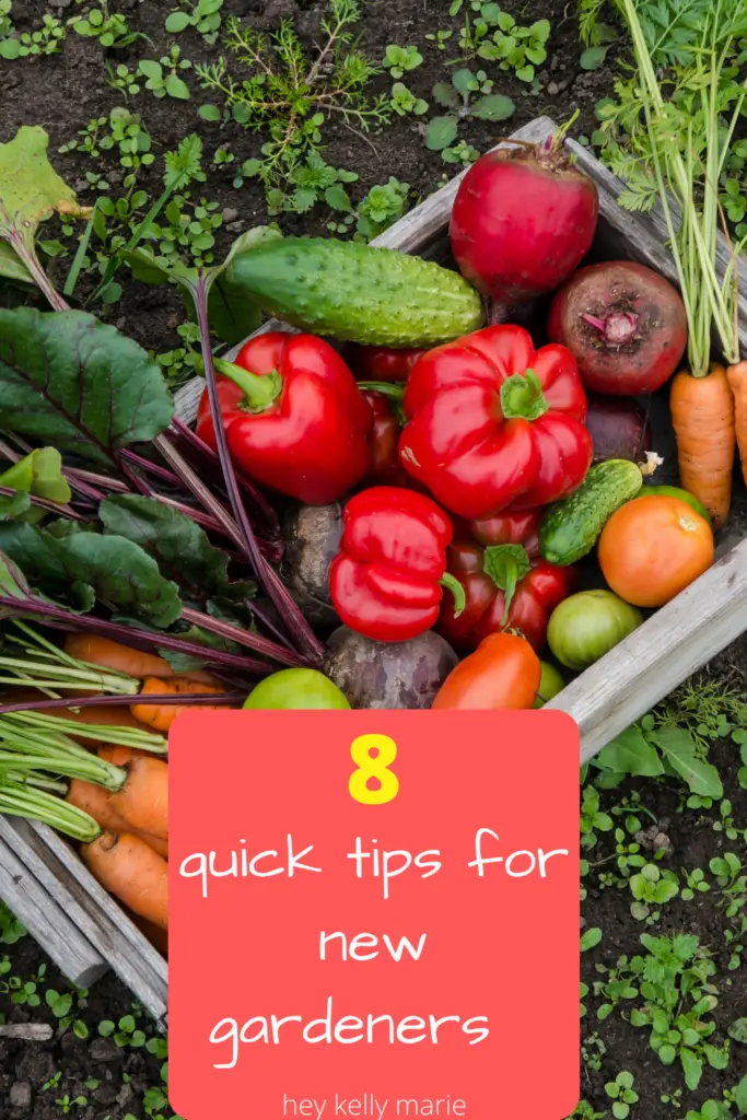 pinterest pin describing 8 quick tips for the new gardener