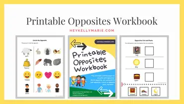 printable opposites workbook 12 free worksheets